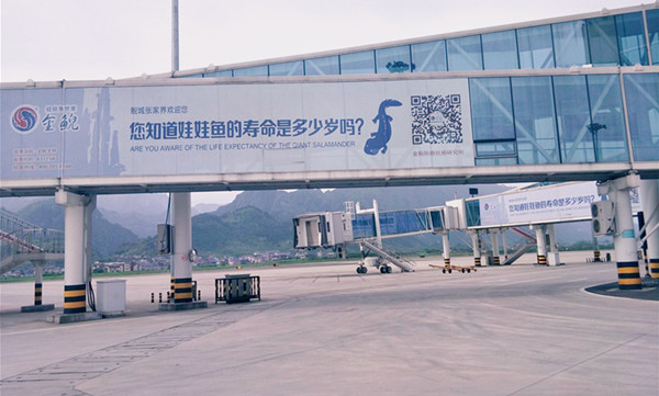 張家界機場廊橋廣告