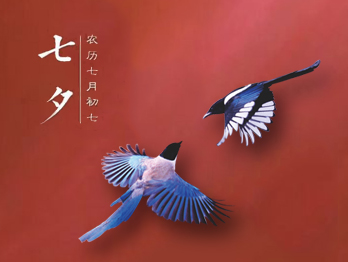 七夕節(jié)，你秀恩愛(ài)了嗎?