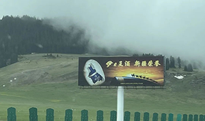 新疆高速立柱大牌廣告案例，烏魯木齊高速?gòu)V告酒類(lèi)廣告案例