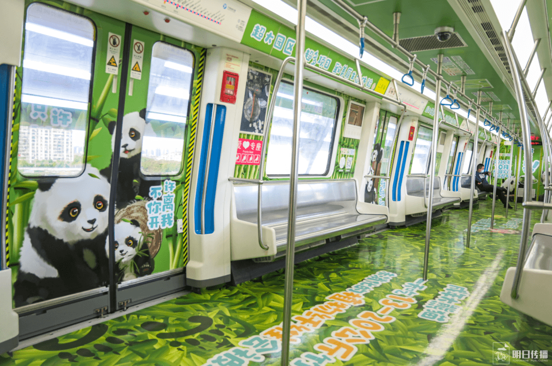 寧波地鐵車廂廣告價格多少錢？寧波地鐵廣告經(jīng)典全包車案例動物園