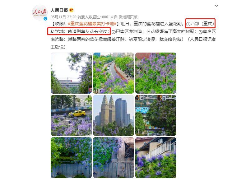 #重慶藍(lán)花楹最美打卡地#重慶地鐵廣告從花叢中穿過