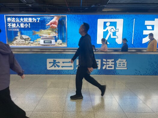 太二酸菜魚-深圳地鐵廣告